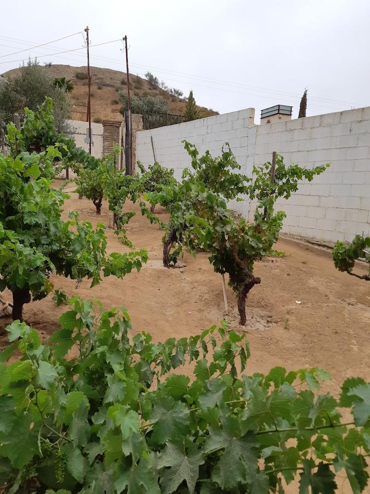 Hotel Meson Del Vino Valle de Guadalupe Kültér fotó