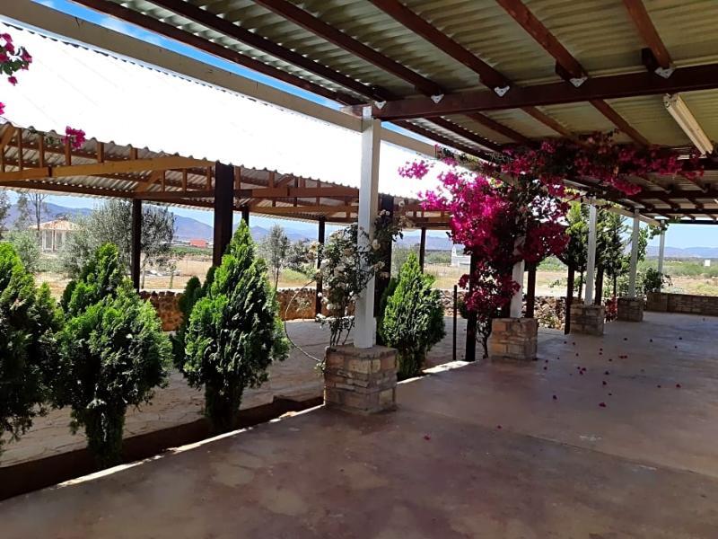 Hotel Meson Del Vino Valle de Guadalupe Kültér fotó